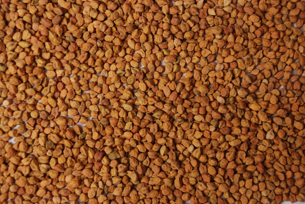 Desi Cheackpeas